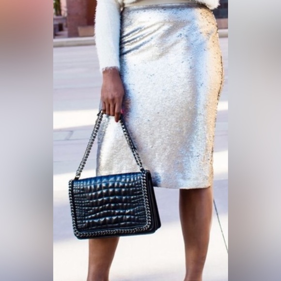 Banana Republic Sequin Skirt - Picture 1 of 6